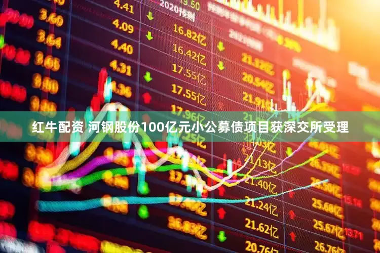 红牛配资 河钢股份100亿元小公募债项目获深交所受理