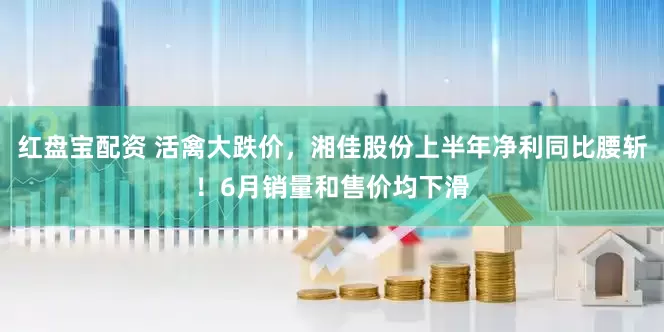 红盘宝配资 活禽大跌价，湘佳股份上半年净利同比腰斩！6月销量和售价均下滑