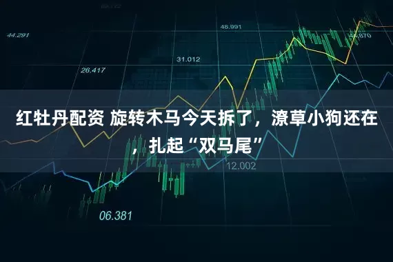 红牡丹配资 旋转木马今天拆了，潦草小狗还在，扎起“双马尾”